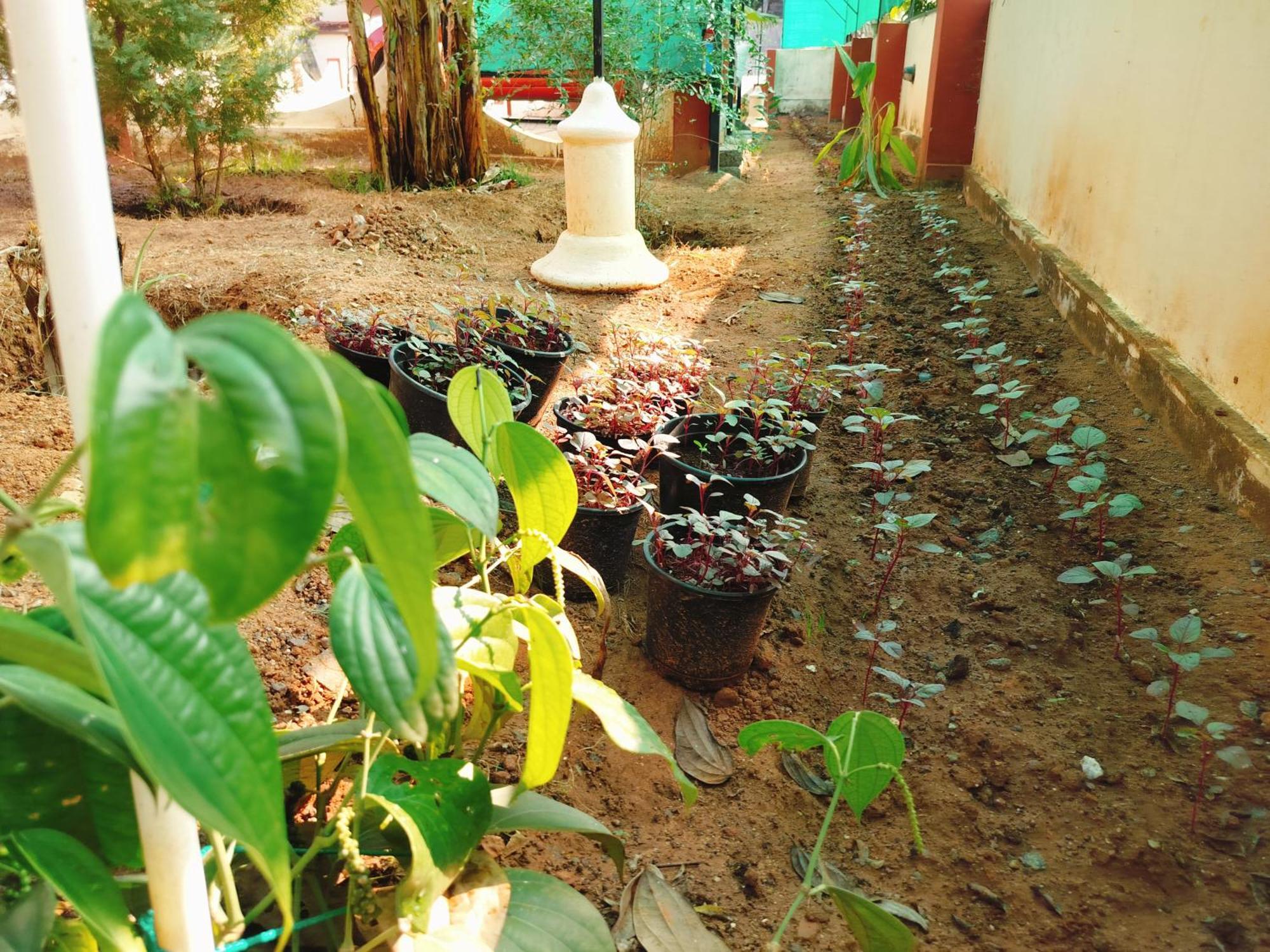 The Ixora - A Boutique Homestay Varkala Exterior photo