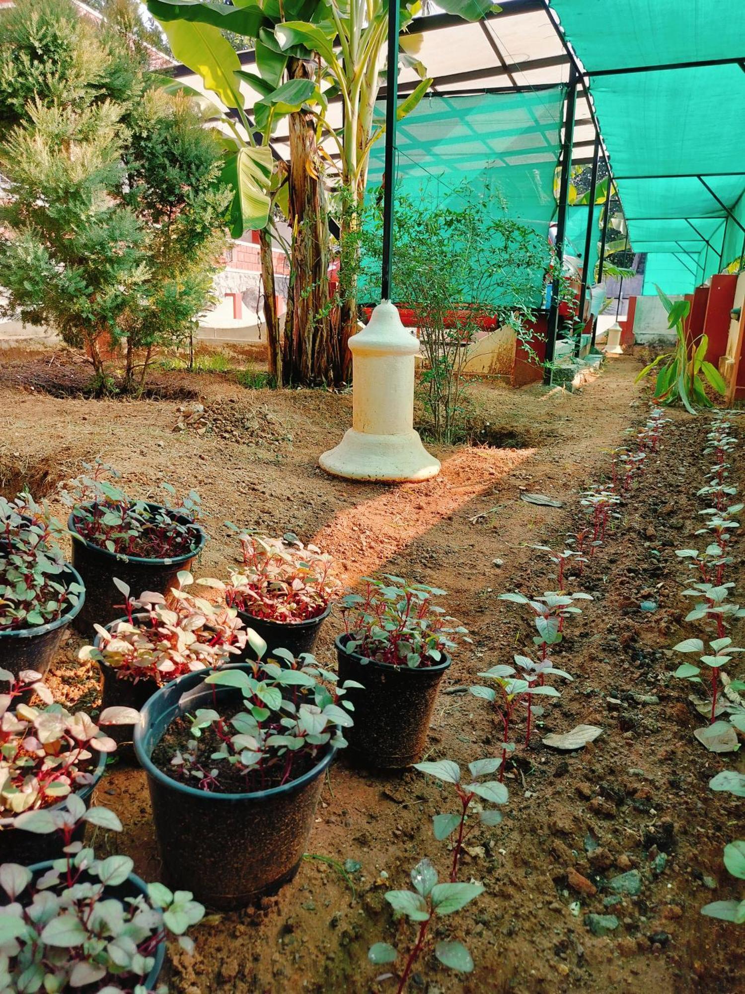 The Ixora - A Boutique Homestay Varkala Exterior photo