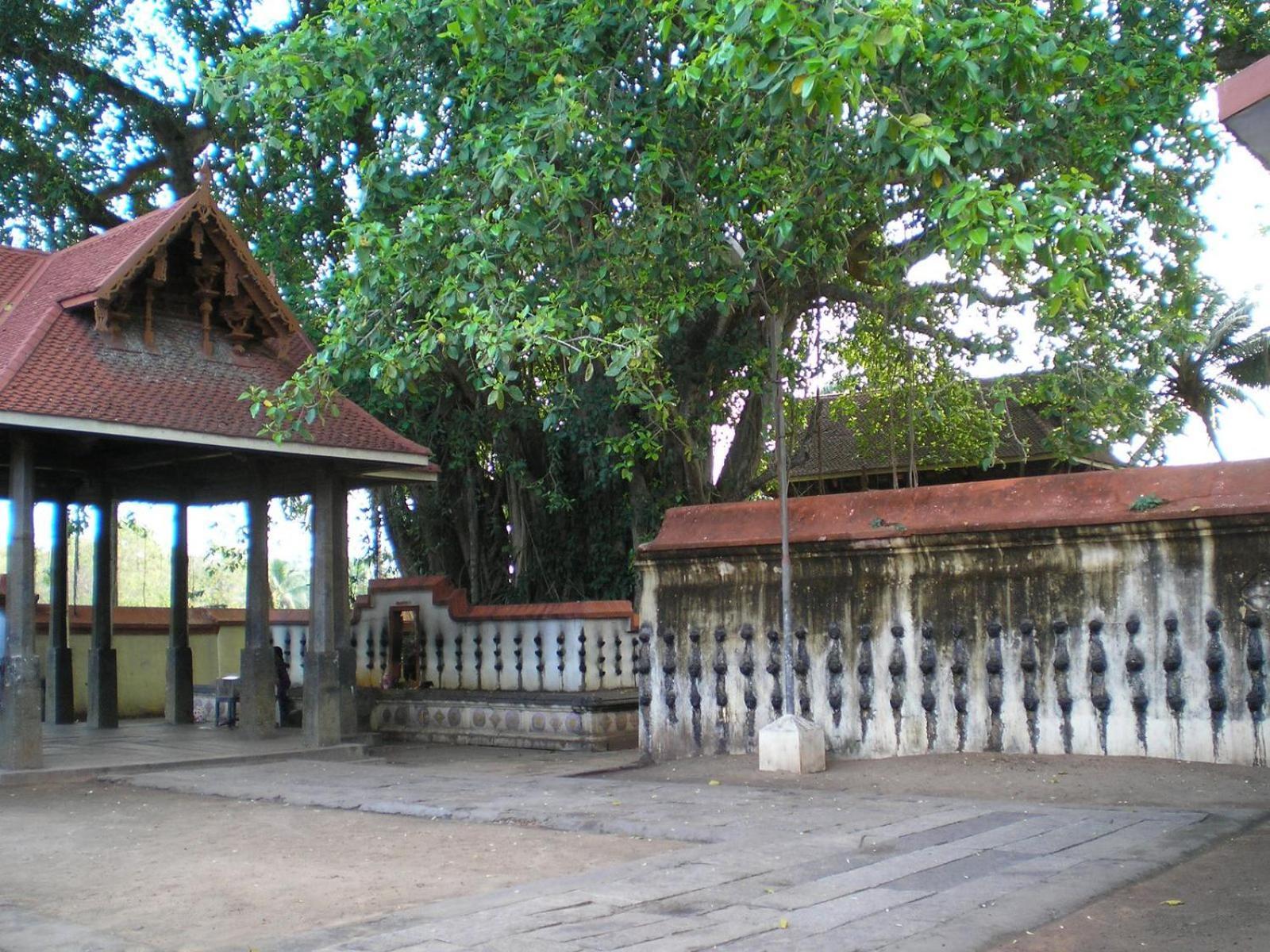 The Ixora - A Boutique Homestay Varkala Exterior photo
